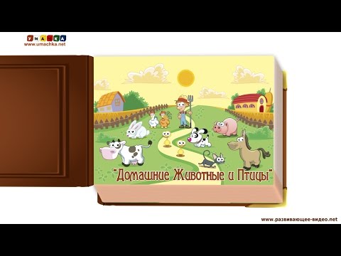 Видео с животными для ребёнка от года. Все обучающие карточки