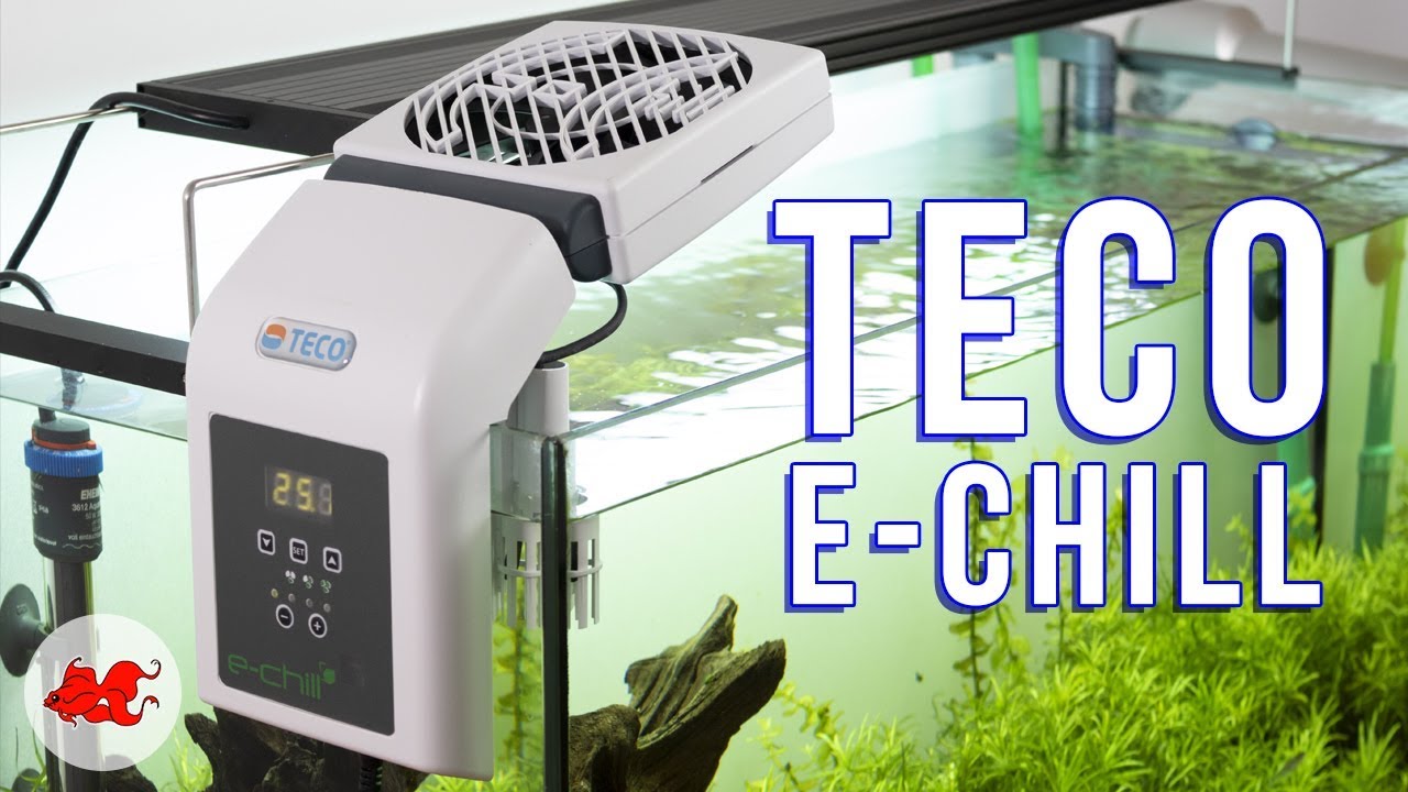 Test TECO e-chill1 Ventilateur aquarium 