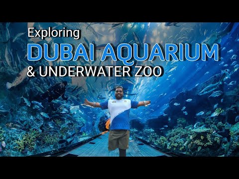 ദുബായ് മാളിലെ ഭീമൻ അക്വേറിയം Exploring Dubai Aquarium & Underwater zoo  #dubai #dubaimall #aquarium