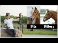 Horse Riding Equipment | Bridles, Bits, & Reins