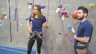 Climbing Wall Basics