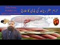 spinal cord medulla cure brain stroke treatment in Hindi Urdu حرام مغز کا علاج