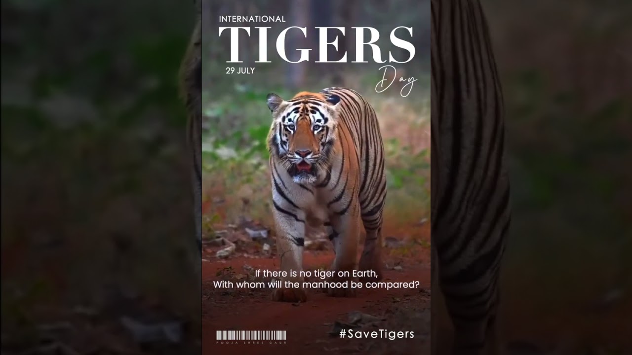 International Tiger Day | 29 July 2025