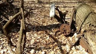 ABANDONED 1955 Ford, Forest Of Cars PT.10 Finale