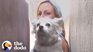 Dog Left Behind When Her Owners Moved | The Dodo