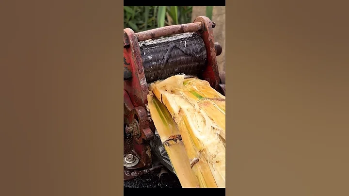 How To Make Sugar cane juice #shorts #shortsfeed #juice #sugarcane #juice #trending #viral #nice