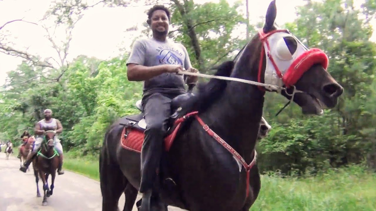 Best Gelding Contest (Halter Class) at Wild Life Riders Annual Trail ...