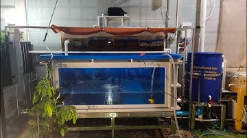 เอิง งามวงศ์วาน 47 - O4FS อ่างไฟเบอร์ (ติดกระจก) เลี้ยงปลาสำหรับระบบ Aquaponic Set 4