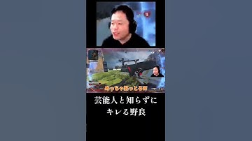 【後藤真希／コラボ】芸能人と知らずにキレる野良【ダイアン津田のゴイゴイスーチャンネル／切り抜き】　#Shorts