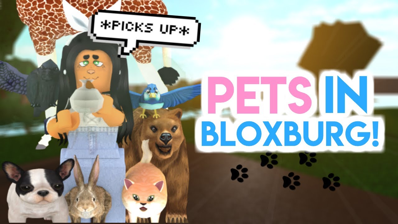 IF BLOXBURG HAD PETS *Update*!!! SunsetSafari YouTube