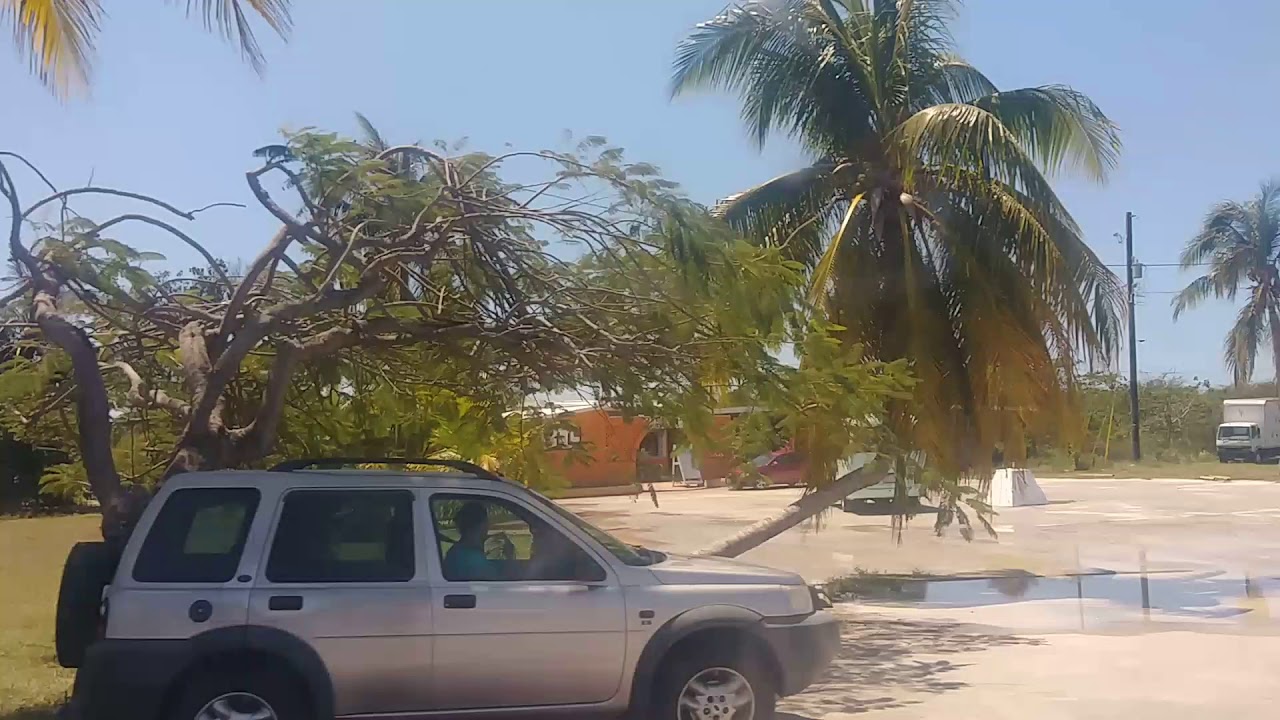 to HELL Sign Caribbean Cruise 2019 YouTube