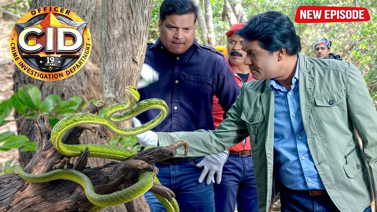 अभिजीत और दया को मिला जंगल में जादुई सांप | CID | Full Episode | Best Of Cid | 