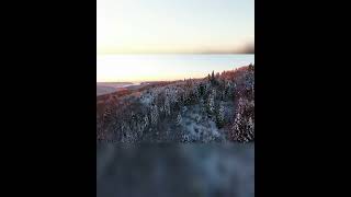 Elbet Bi̇r Gün Bu Kiş Bi̇ter...yaz Geli̇r...