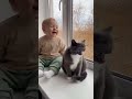 Cat Chat at the Window  #FunnyCatSounds #BabyAndCat #ViralLaughs #CuteAnimals #AdorableMoments