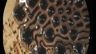 ferro fluid with brownian motion visable