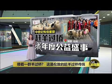 赶羊过桥是特权? 英国伦敦重现中世纪传统 | 八点最热报 29/09/2026
