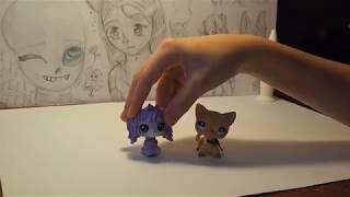 ❤️ ЛПС СОБАЧКА КОМОНДОР ИЗ НОВОЙ КОЛЛЕКЦИИ РАСПАКОВКА игрушки Littlest Pet Shop| LPS pet Komondor ❤️ ЛПС СОБАЧКА КОМОНДОР ИЗ НОВОЙ КОЛЛЕКЦИИ РАСПАКОВКА игрушки Littlest Pet Shop| LPS pet Komondor