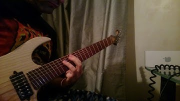 7 string fan fret mad-guitars