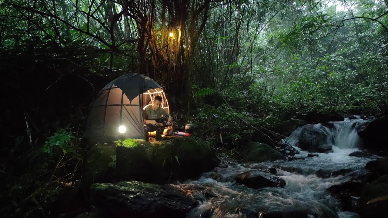 3 Days Solo Survival Camping in Rain Forest. Building BUSHCRAFT SHELTER ...