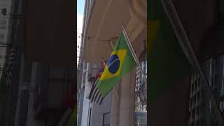 Brazil: Avenida Paulista SP - 4k walk