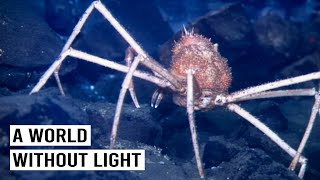 The "Alien" Planet Found at the Bottom of the Ocean