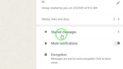 How To Find Starred Messages From A Group On WhatsApp Web On PC (New Update)