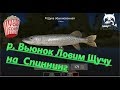 Русская Рыбалка 4. р. Вьюнок. Ловим Щуку и Окуня на спиннинг.