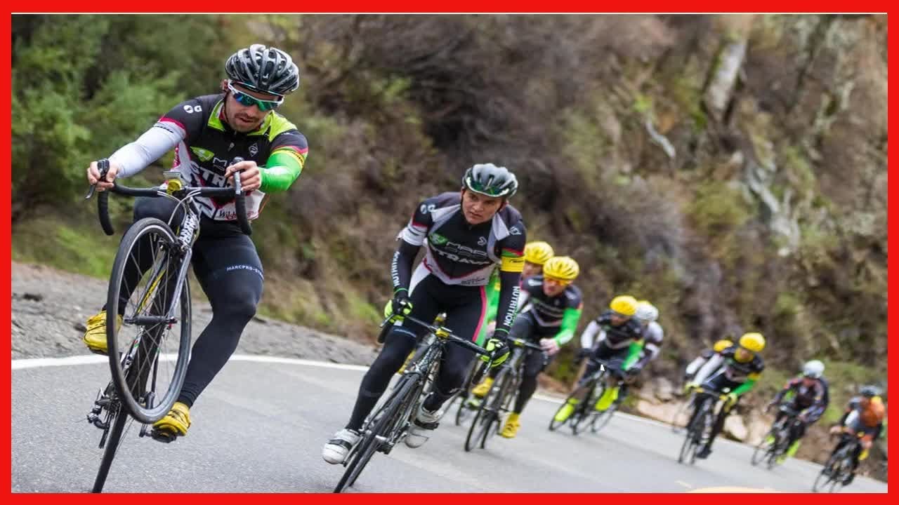 Bar Fly 4 Prime Aluminum Bicycle Accessory Mount, Black, adjustable reach for large YouTube