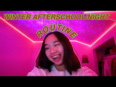 WINTER AFTERSCHOOL/NIGHT ROUTINE! Vlogmas Day 3 | Nicole Laeno