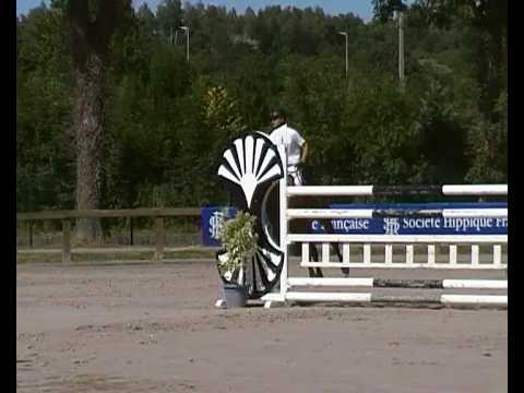 Pegase d'Anoux- jumping horse by Easy Boy