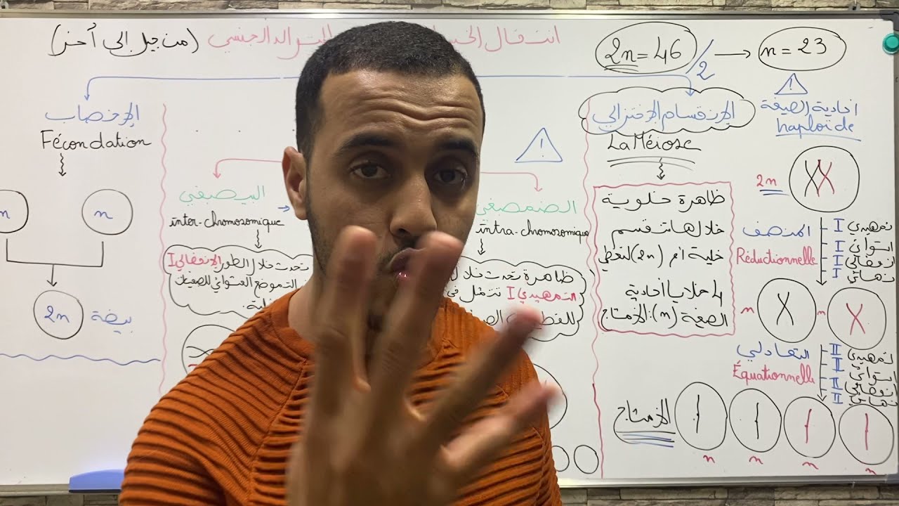 ملخص الانقسام الاختزالي