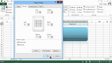 Microsoft Office Excel 2013 Tutorial: Setting up the Page Layout | K Alliance
