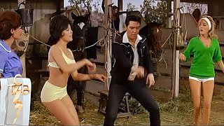 Elvis Presley-Dirty, Dirty Feeling(Film, TICKLE ME 1965)