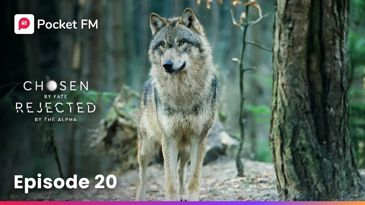 Episode 20 | Chosen by Fate Rejected by Alpha | Pocket FM - YouTube