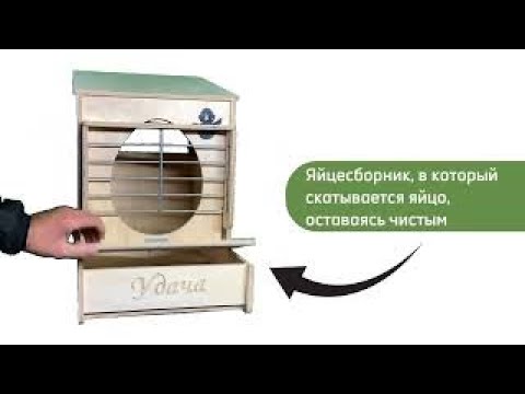 Гнездо для кур