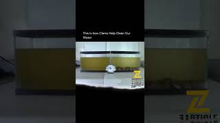 This Is How Clams Help Clean Our Water