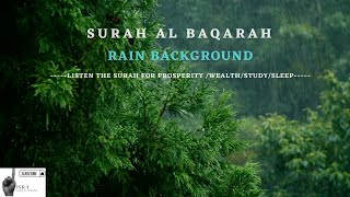 The Holy Quran 2022~02.SURAH Al BAQARAH +Rain background for prosperity, relaxation, study, sleep