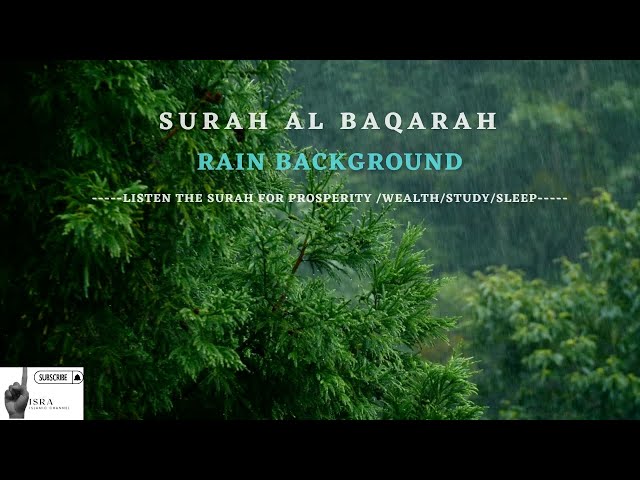 The Holy Quran 2022~02.SURAH Al BAQARAH +Rain background for prosperity, relaxation, study, sleep class=