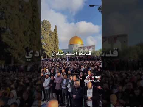 اللهم إنا نشكو إليك عجزنا و قلة حيلتنا و هواننا على الناس و إنا لله و إنا إليه راجعون