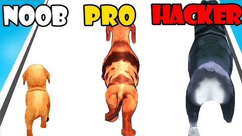 NOOB vs PRO vs HACKER - Dog Evolution Run | Satisfying Games (Android,iOS)