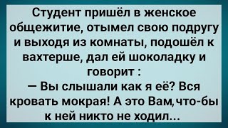 Мокрая Кровать в Женском Общежитии! Сборник Свежих Анекдотов! Юмор!