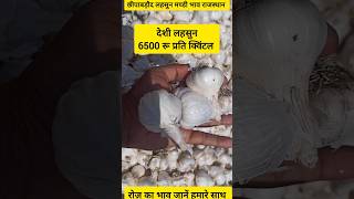 देशी लहसुन छीपाबड़ौद लहसुन मण्डी। Aaj ka Lahsun Ka Bhav। Garlic Price Today। Today Garlic Rate। Bhav