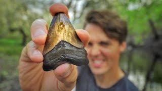video thumbnail for: We Found LOADS of Shark Teeth Fossils in a Florida Swamp (and Got Caught in a Storm!)