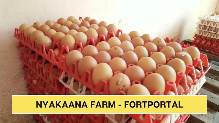 How Richard Nyakana Turned One Acre Into a Thriving Farm | President Museveni Highlights PDM Success