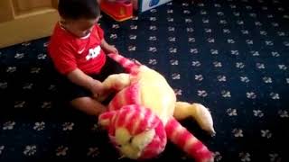 Isa Rahman playing with a  ragdoll cat