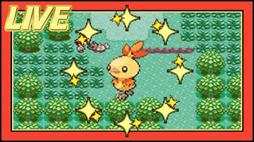 LIVE! Shiny Torchic Startles Me After 3,676 SRs [Sapphire]