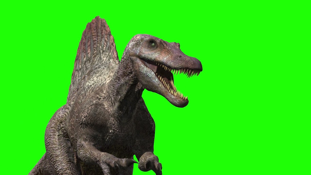 Jurassic Park Spinosaurus Green Screen CGI Dinosaur Royalty Free Chroma