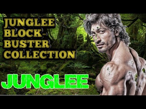 junglee-movie-box-office-collection-/-bollywood-times