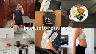 BACK INTO ROUTINE | publix haul, gym routine after work, easy meal ideas, new lip combo! by Rachel Vinn 17,688 views 1 month ago 19 minutes