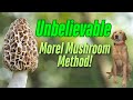 This Insane Dog Trick Makes Morel Hunting Easier!